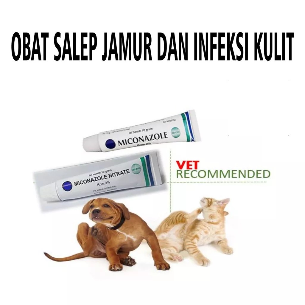 MICONAZOLE NITRATE 10gr - Obat Salep Jamur Kucing Anjing