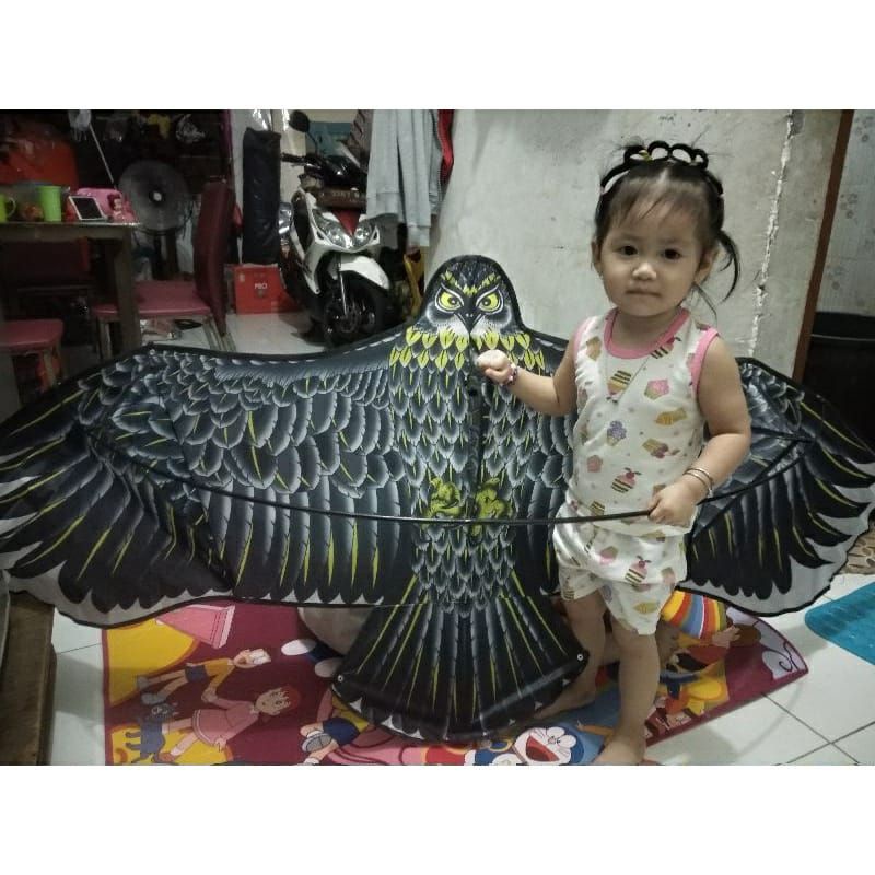 layangan elang jumbo