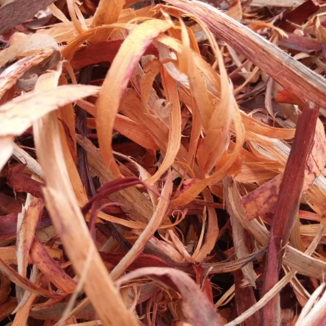 

Kayu secang 250 gram