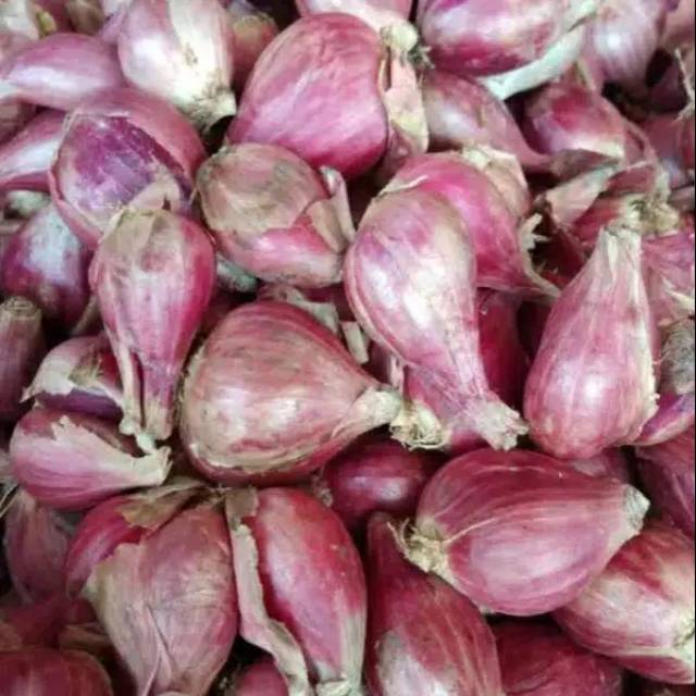 

Bawang Merah Brebes / Bawang Super Pilihan 500 gr