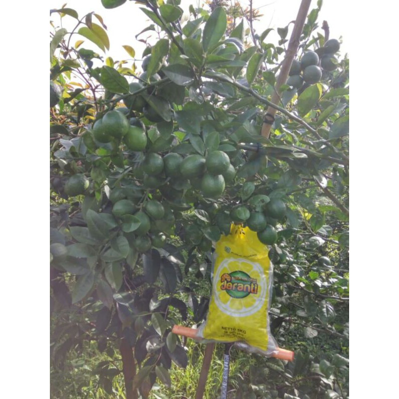 pupuk npk tablet jeranti 5 kg