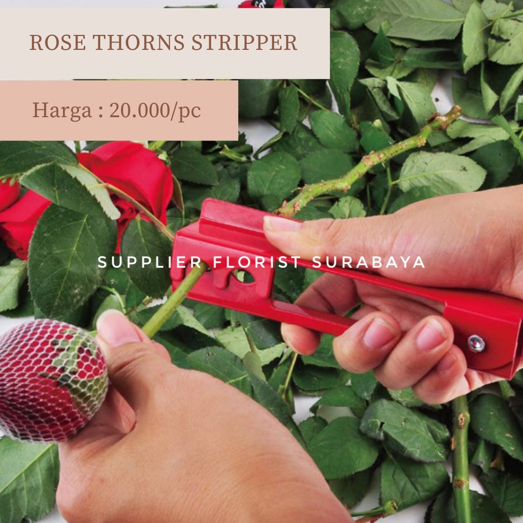 ROSE THORN THORNS STRIPPER PENCABUT PEMBERSIH PENGHILANG DURI BUNGA MAWAR BAHAN BESI WARNA MERAH