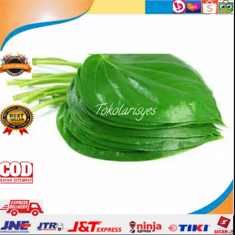 

Daun sirih hijau fresh 100 gram