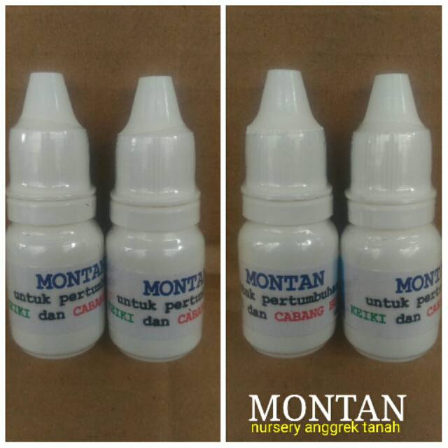 Montan (zat pengatur tumbuh tanaman)