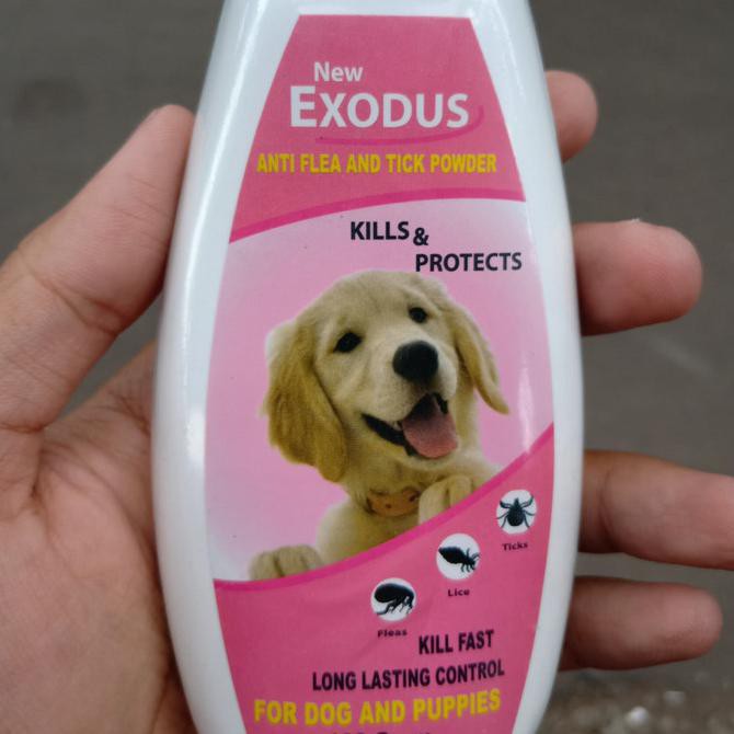Jual Exodus Dog Flea And Tick Powder Bedak Kutu Anjing Bedak Puppy Dog Indonesia Shopee Indonesia