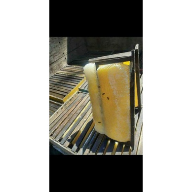 

Madu Asli Murni sarang madu nektar Melifera madu cair