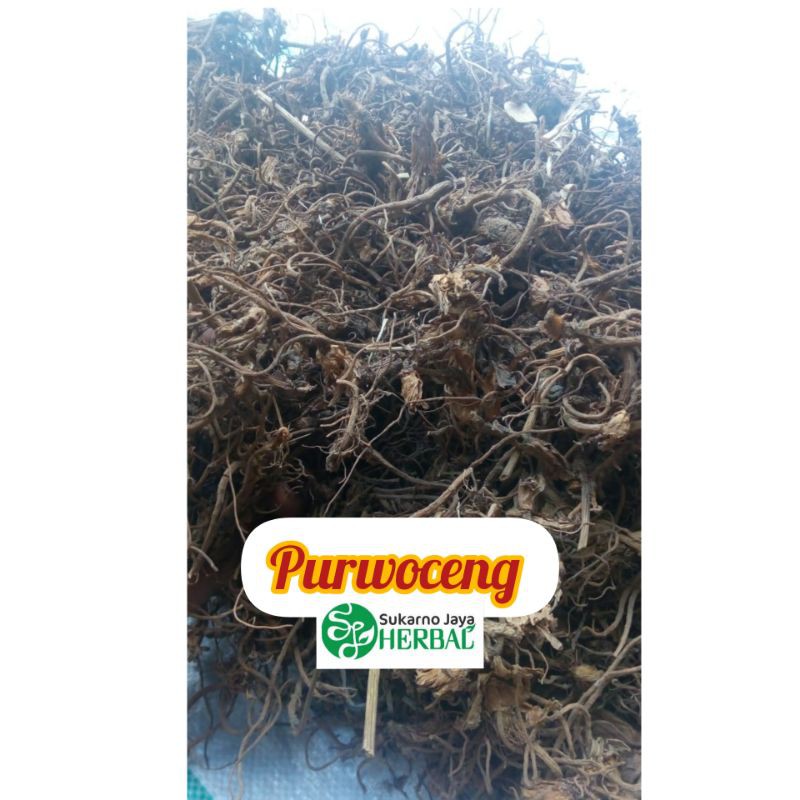 

Purwoceng kering 1000gr