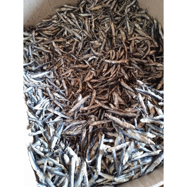 

Ikan Teri Batu