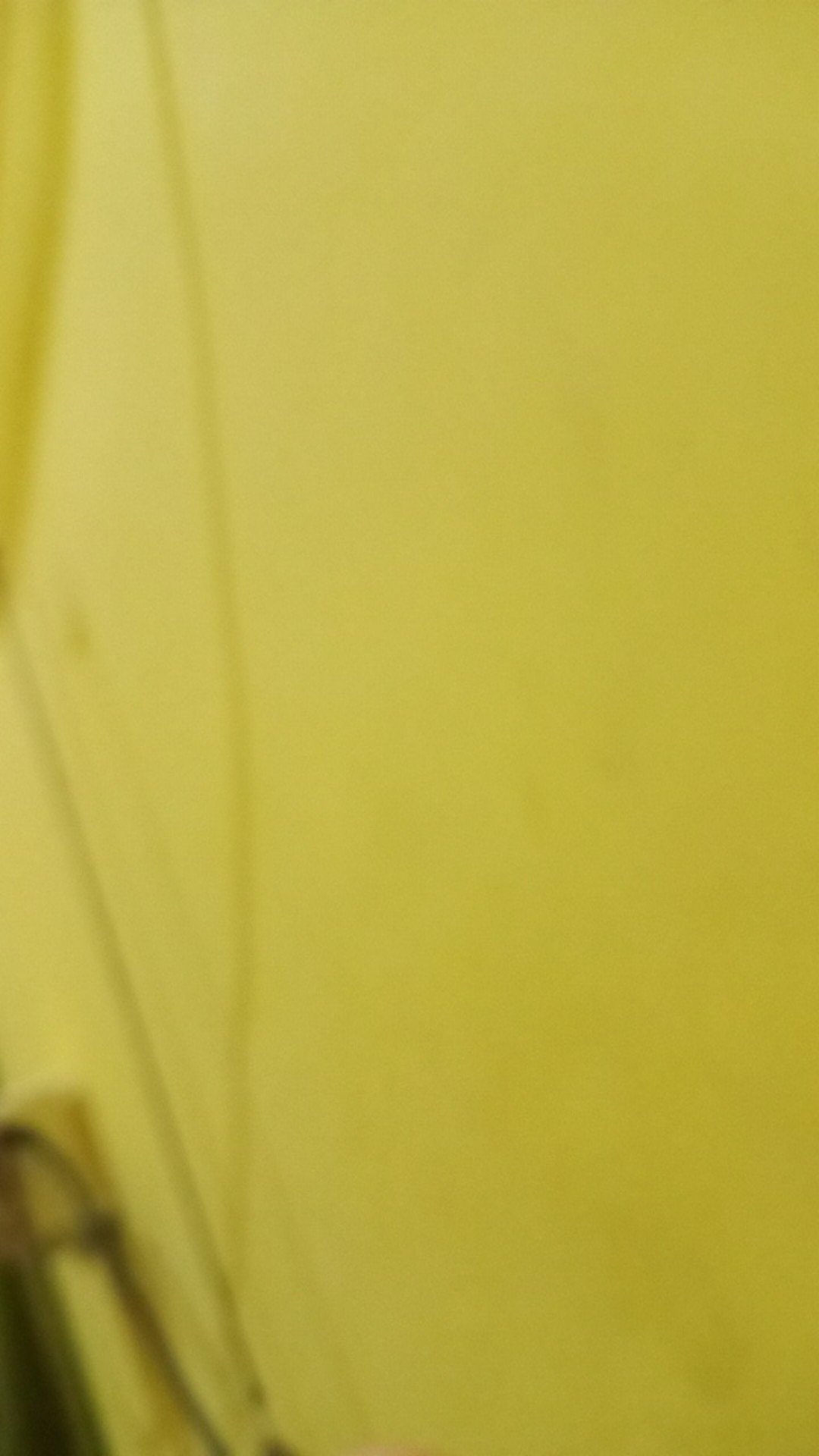 12pcs Kain Lap Cuci Piring / Serbet Dapur