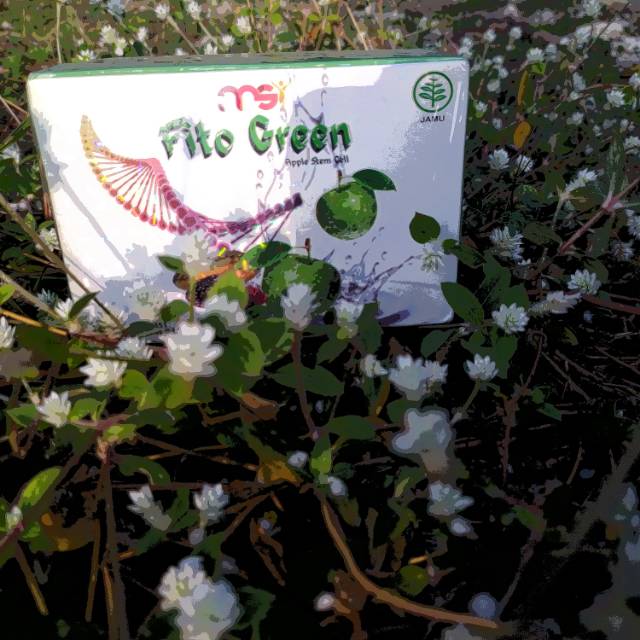 

FITO GREEN