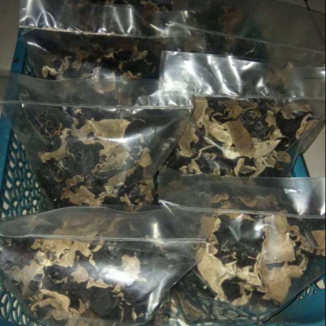 

Jamur kuping kering kualitas premium