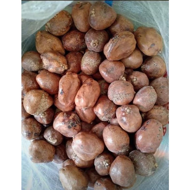 

1kg zuriat terlarissss