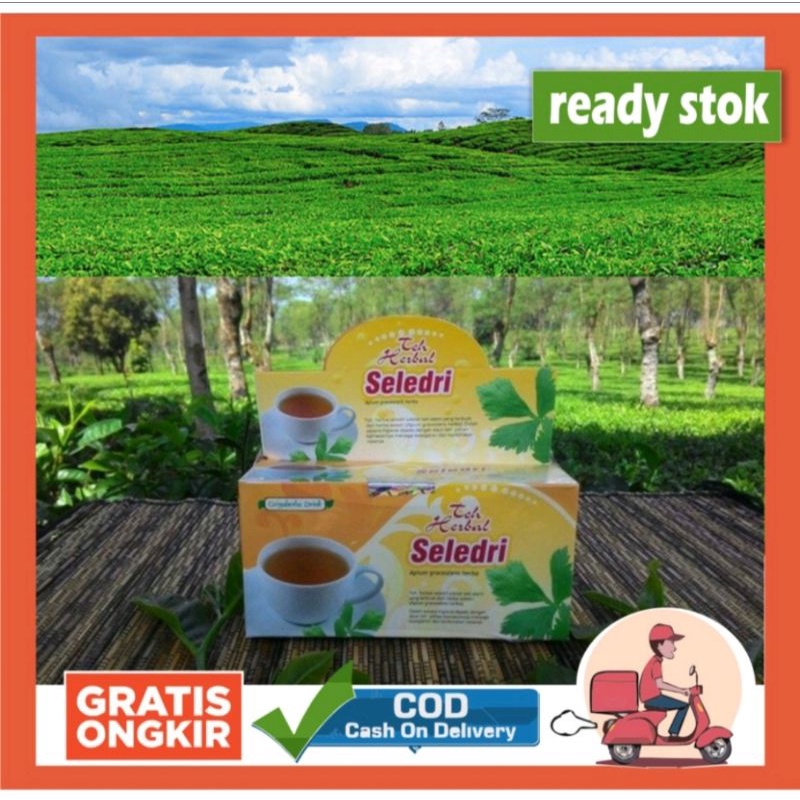 

HERBAL TEH SELEDRI OBAT HERBAL MENGOBATI DARAH TINGGI OBAT HIPERTENSI OBAT TEKANAN DARAH TINGGI ASLI GRIYA HERBA ISI 20 TEH CELUP
