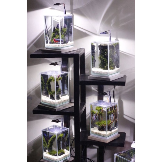 PAKET AQUASCAPE FULL SET LENGKAP