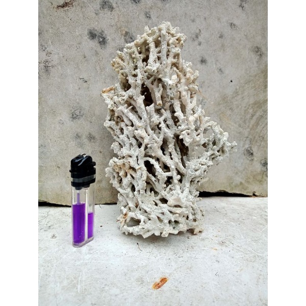 TRUMBU KARANG UKURAN L RUMAH IKAN HIAS AQUASCAPE AQUARIUM/ BATU KARANG/ BATUKARANG/ BATU KARANG LAUT