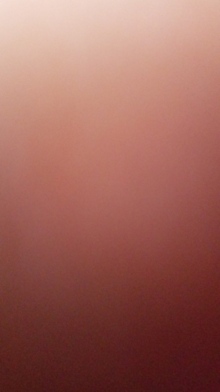 Thinwall Takeaway Container 650ml/box Makan Plastik/tempat Makan Plastik