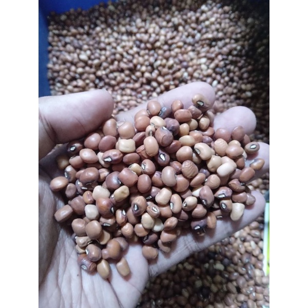 

beras kacang / otok merah @500gram