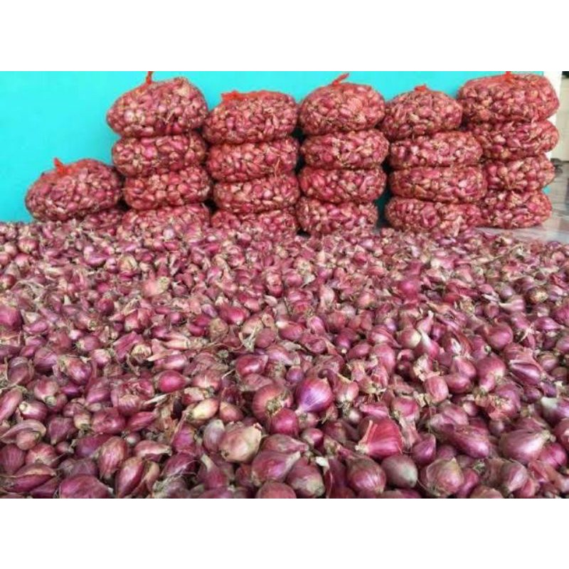 

Bawang Merah Brebes / Bawang Merah Murah / Bawang Merah ukuran Sedang 1KG