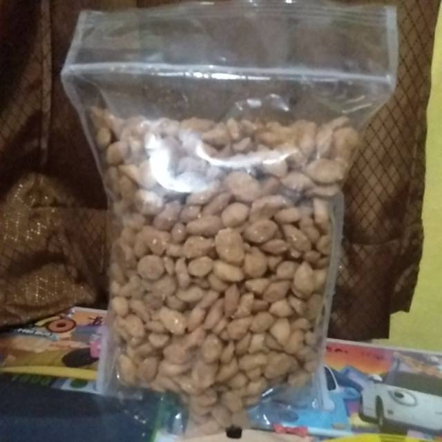 

Biji Ketapang Winak Tenan✨