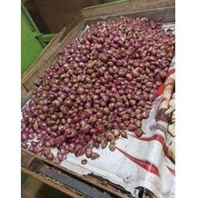 

bawang merah 1kg