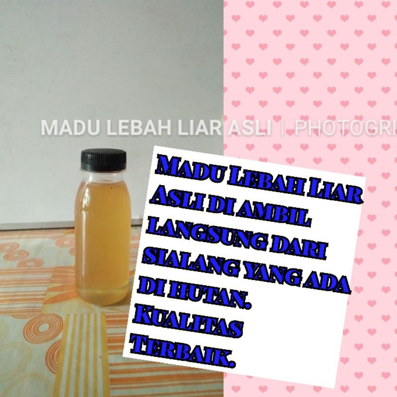 

Madu Lebah Liar Asli