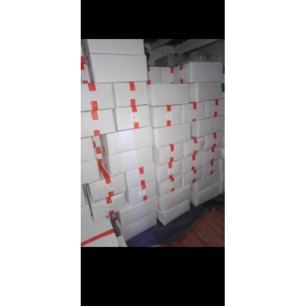 

DISKON BRANDS FESTIVAL Cumi Tube Kupas 1KG Premium \ Squid Tube 1KG