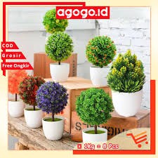 Tanaman Hias / Pot Bunga Kecil