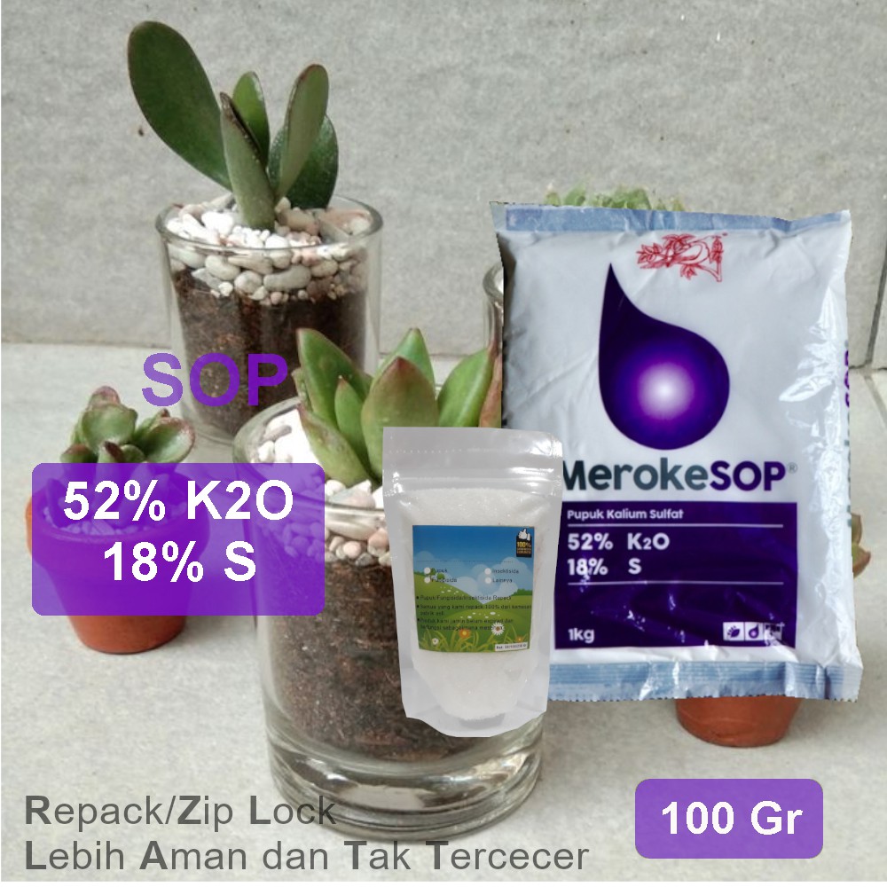 Meroke SOP 100 Gram