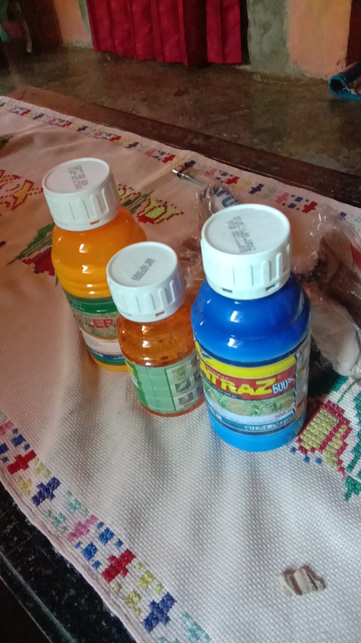 Paket Anti Gulma 500ml Jagung Tumbuh Subur Gulma Hancur Lebur