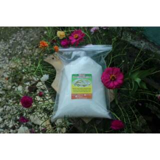 Pati Mberut Erut Garut 500gr Shopee Indonesia