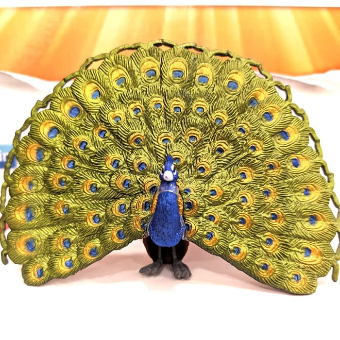 880+ Gambar Burung Merak Dari Stik HD Terbaru