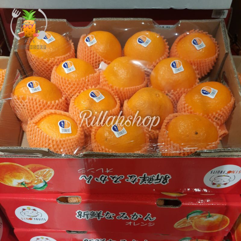

Buah Jeruk Aiyuan Box | Jeruk Ai Yen 4 Kg | Buah Imlek Hampers Imlek