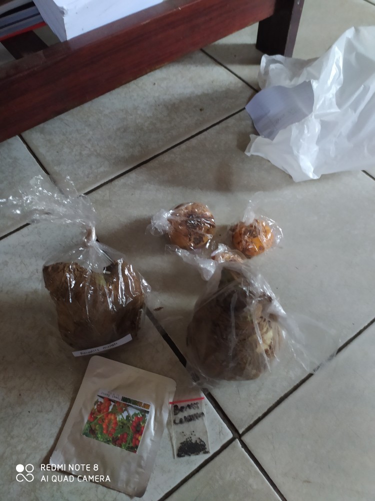 Polybag Hitam 1 Ons Uk 10x15, 10x10