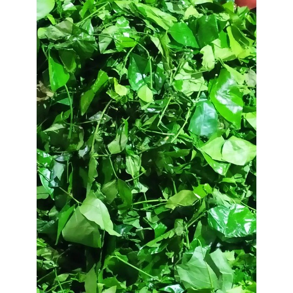 

Daun Melinjo (250gram)