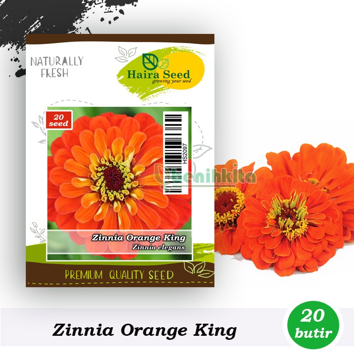 Benih-Bibit Bunga Zinnia Orange King (Haira Seed)