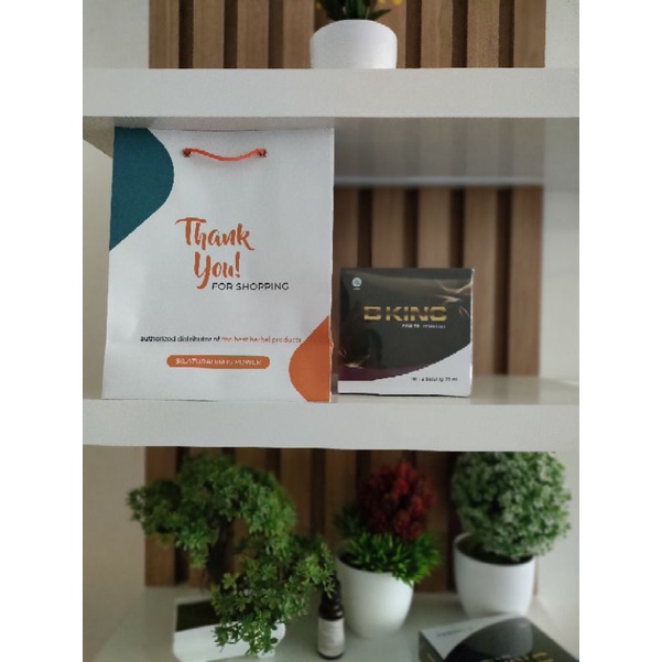 BRAINKING PLUS ( B KING ) ASLI 100%