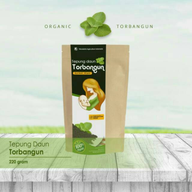 

TEPUNG Serbaguna daun torbangun : Pelancar asi
