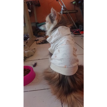 SWEATER KUCING JUMBO