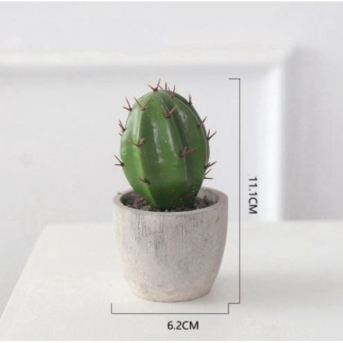 DODORY - PT46 Pot Tanaman Rumput Bunga Mini Hias Dekorasi Plastik Murah-Kode A