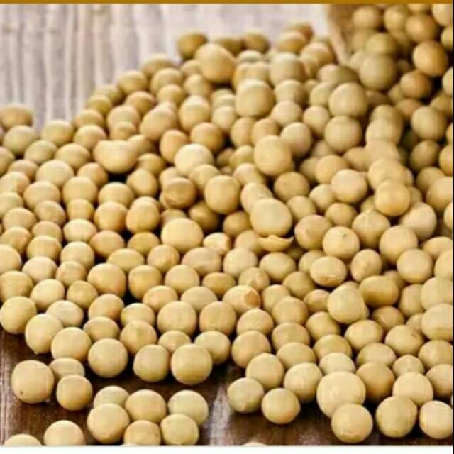 соя лира. соя полножирная экструдированная фото. пророщенная соя на вкус. соя барнаул. что такое соя продукт.