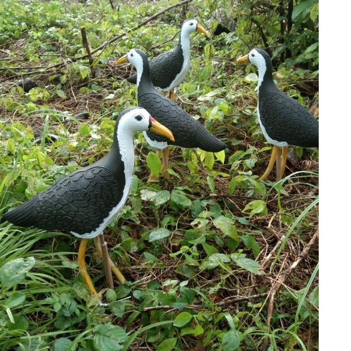 Lagi Tren.. jontrot ruak ruak/pikat ruak ruak patung ruak ruak patung kareo