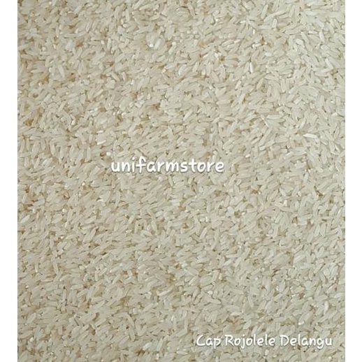 

Terbaik Beras Rojolele Delanggu 5KG