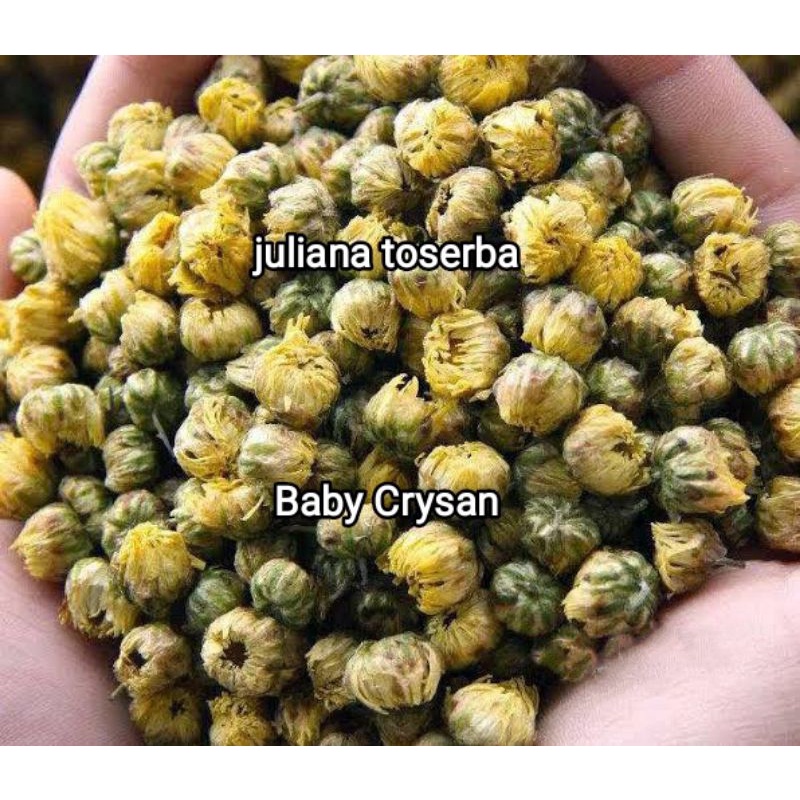 

Chinese Baby Chrysanthemun Bud Tea 野乾胎菊花王 Thai Ju Hua Wang 50 gram