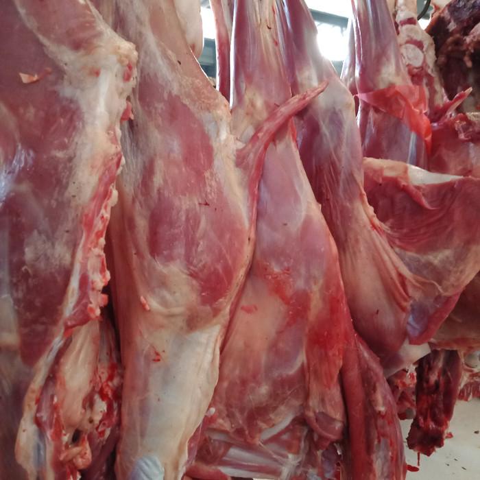 

Meat | Kambing Muda Paha Campur Iga Di Jamin Fresh 250Gram