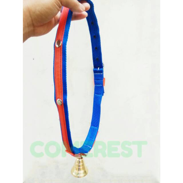 Kalung anakan sapi Pedhet 3cm