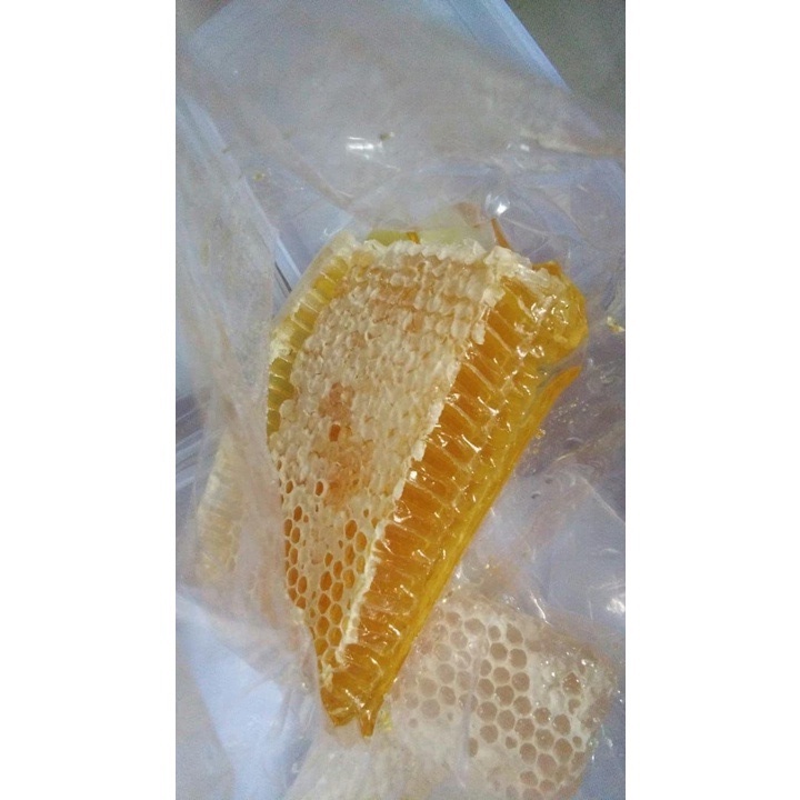 

Sarang Madu Murni Asli 250gr Madu Sarang Lebah Original Asli Apis Mellifera Harga Grosir 250 Gram Murah Madu Khadijah