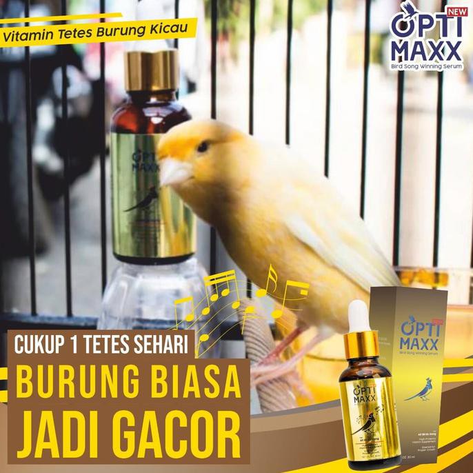 Best Seller] Optimaxx Serum Vitamin Penggacor Burung