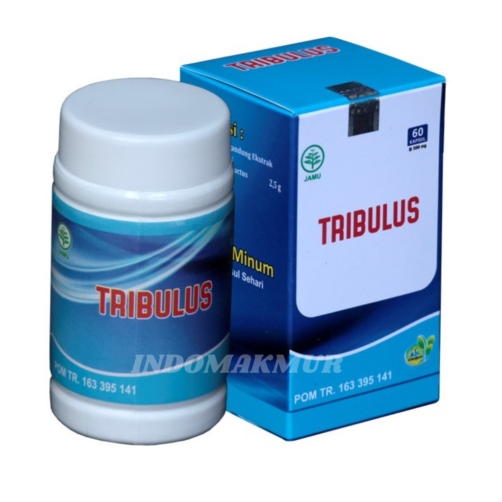 TRIBULUS Original - Herbal Standar BPOM