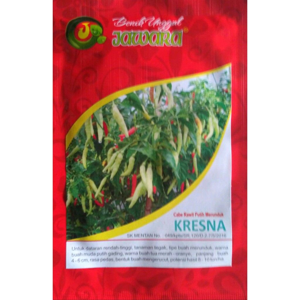 Benih Cabe Rawit putih varietas Kresna produk unggul JAWARA Disk