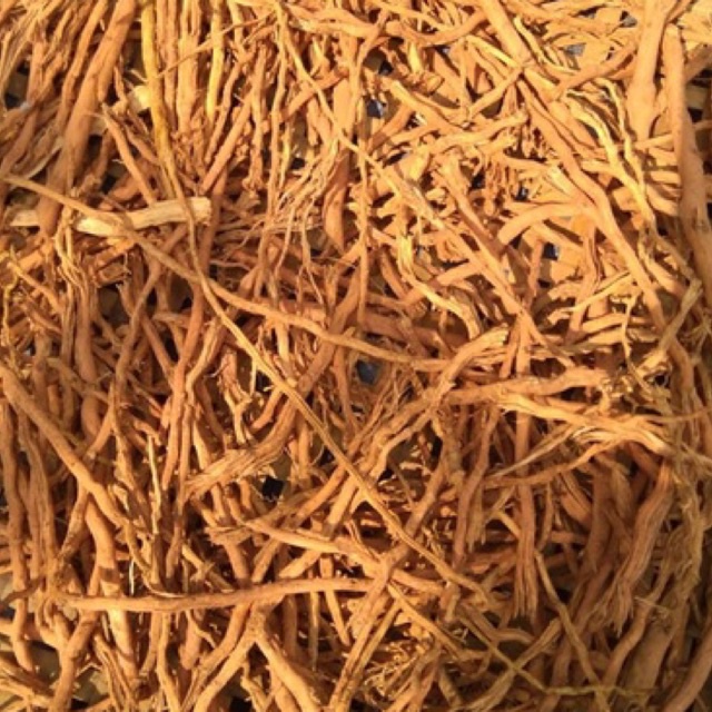 

akar pohon jampe/ pinang segar 500gr